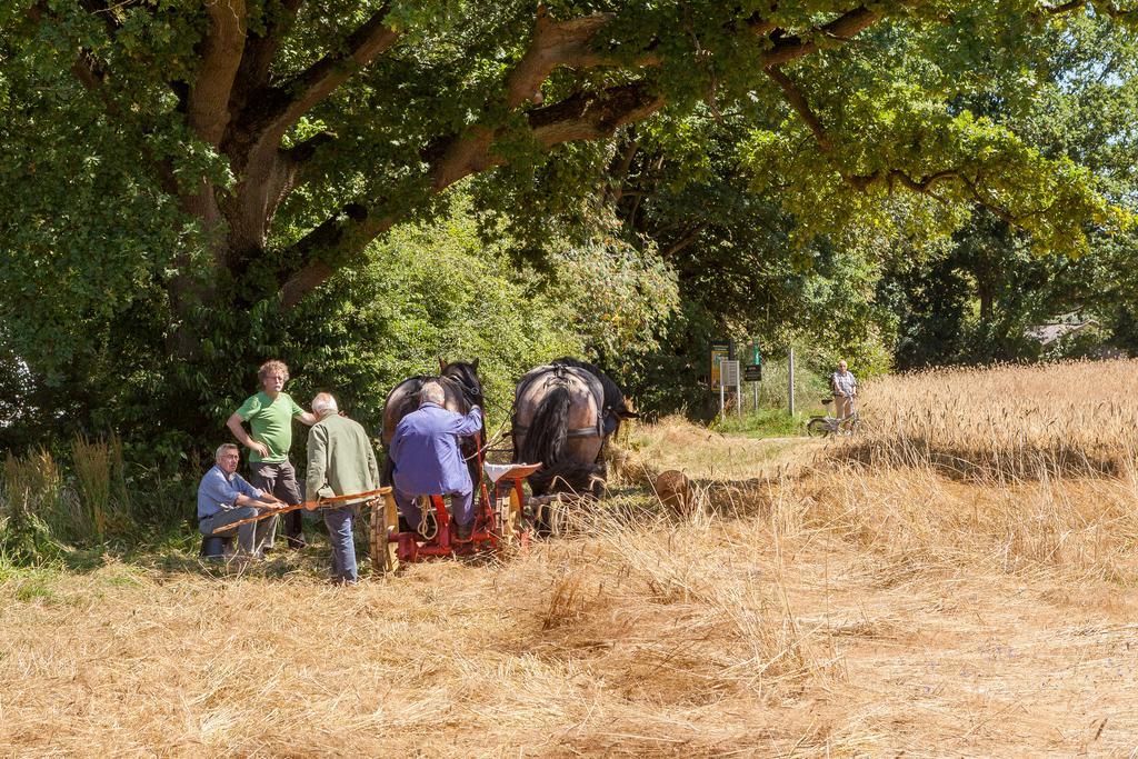 Hoeve Springendal * Ootmarsum