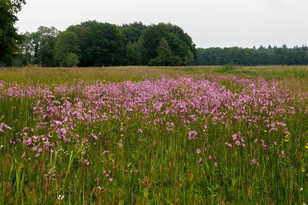 Hoeve Springendal