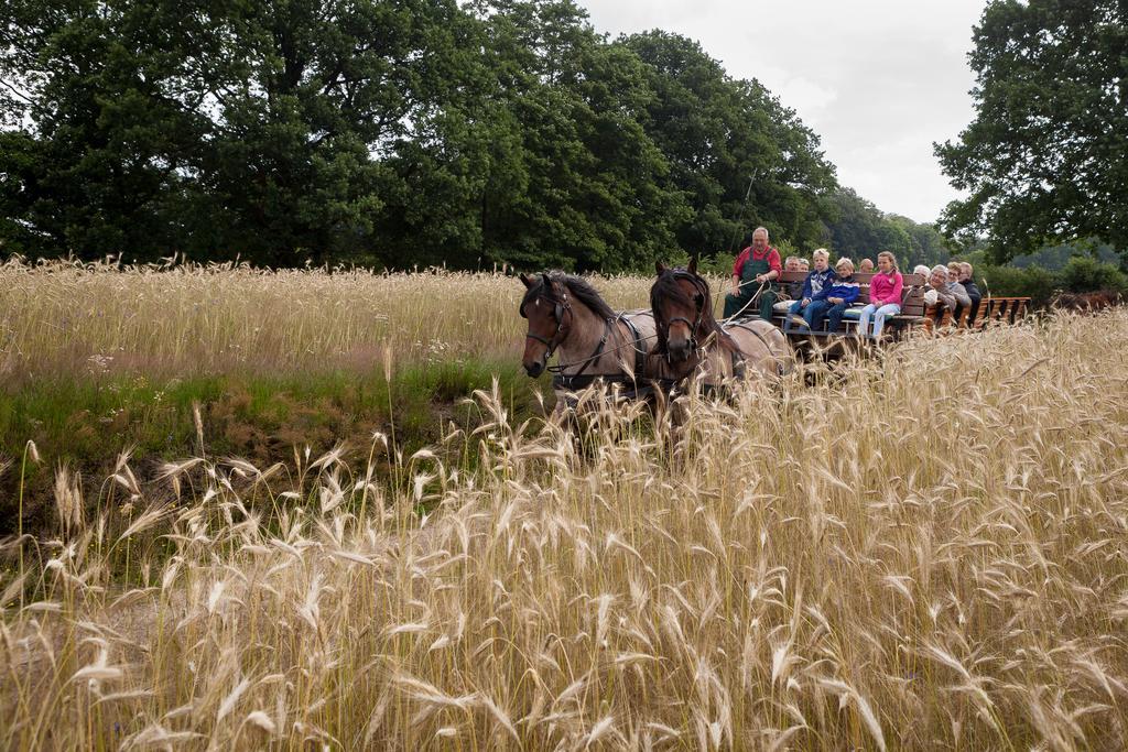 Hoeve Springendal