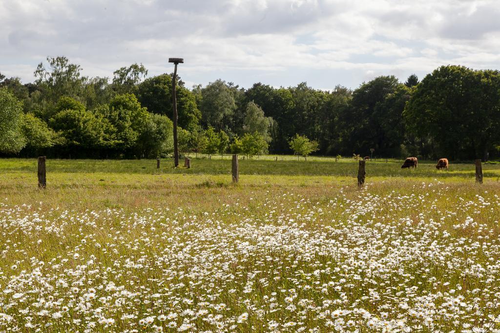 Hoeve Springendal Appartamento Ootmarsum